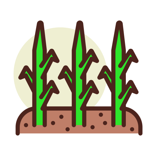 非種子型(營養系)保存